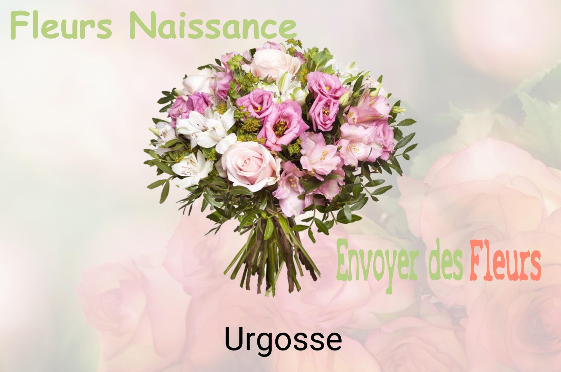 Bouquet de fleurs de naissance livré à Urgosse